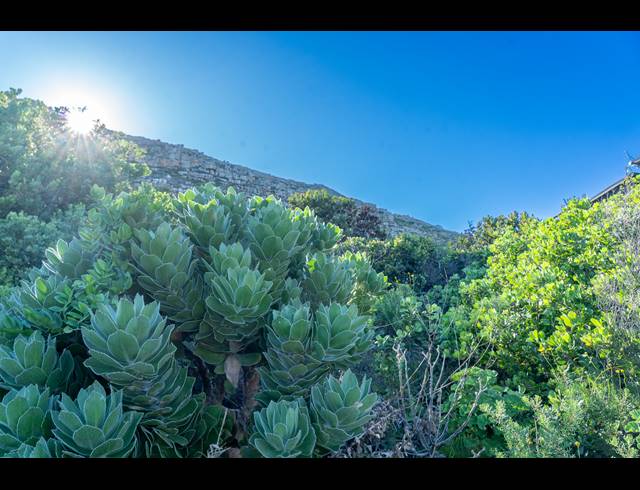 890M² VACANT LAND FOR SALE IN MISTY CLIFFS